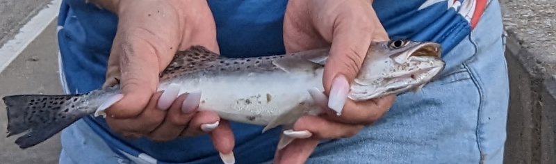 Michelle Yochum holding a Georgia Sea trout